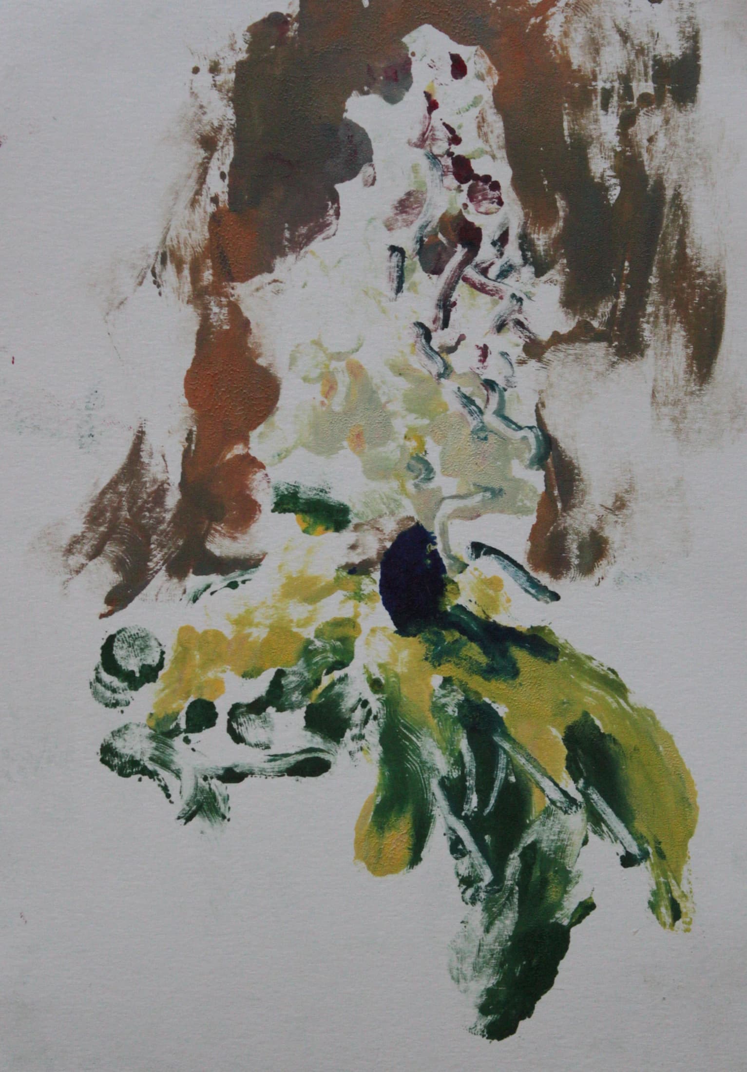 Colour Study