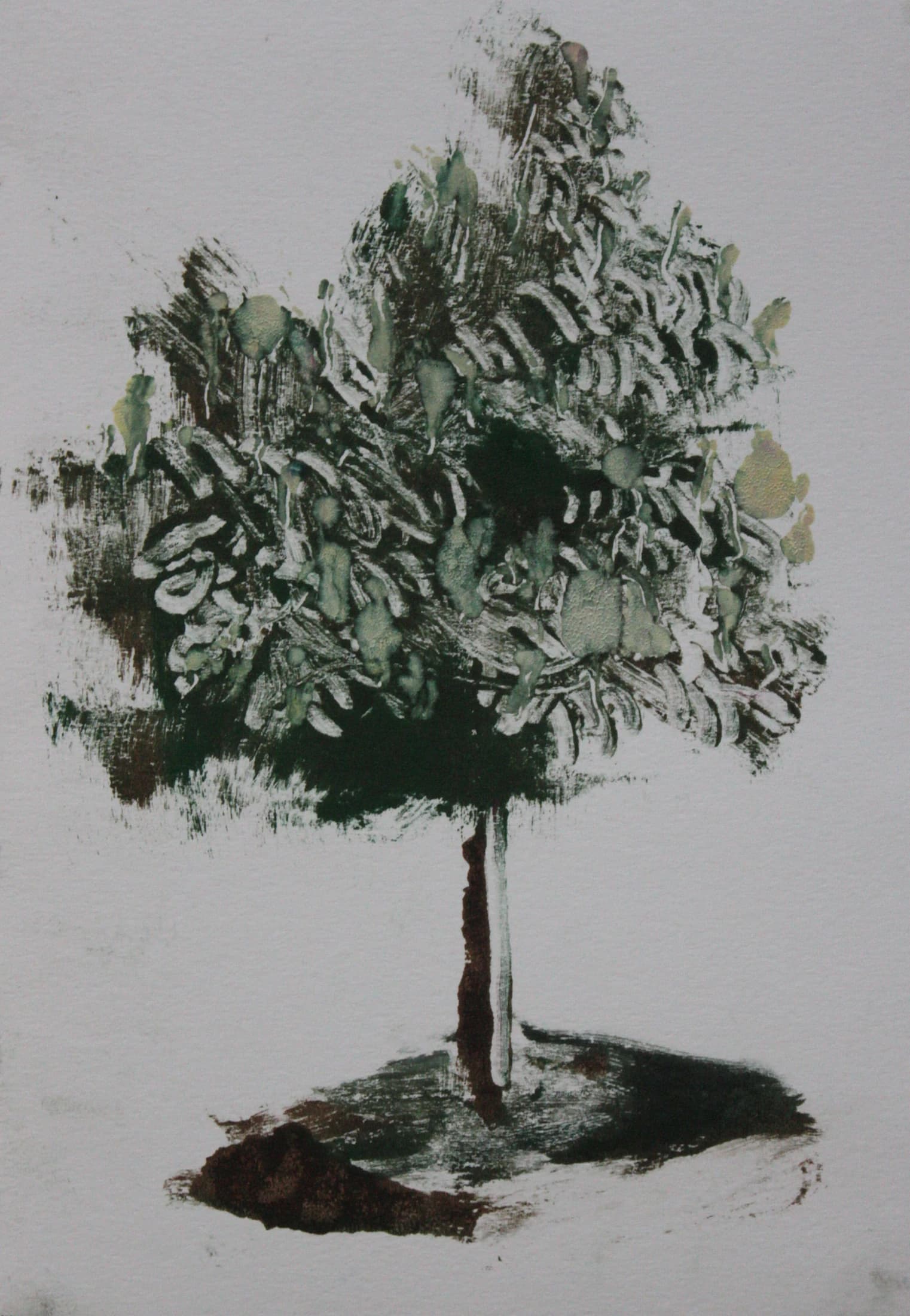 Solitary Tree